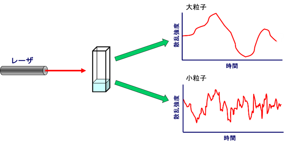 DLS (Dynamic Light Scattering) - 動的光散乱法の原理と分析装置